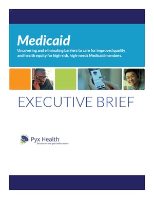 Cover of Medicaid Executive Brief 