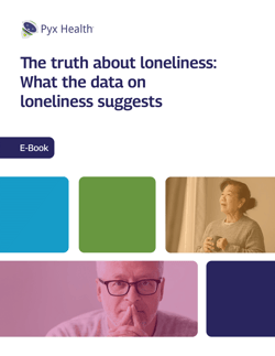 eBook cover of Truth About Loneliness